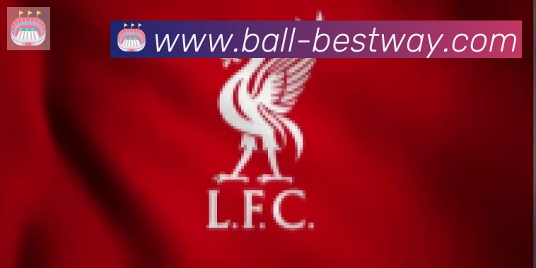 在线买球合作伙伴