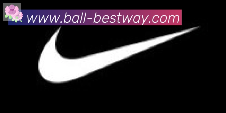 在线买球合作伙伴